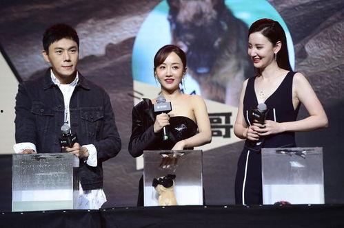 娱乐圈综艺吃瓜爆料,综艺幕后吃瓜爆料大揭秘